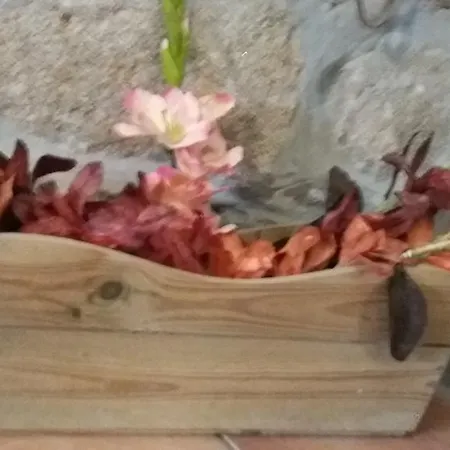 Casa Serra Do Lagar Alloggio per agriturismo