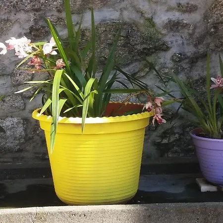 Farm stay Casa Serra Do Lagar