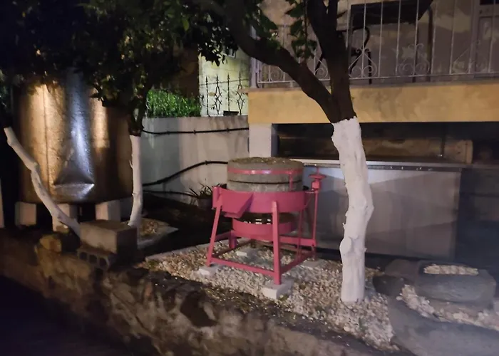 Farm stay Casa Serra Do Lagar Ribeiradio