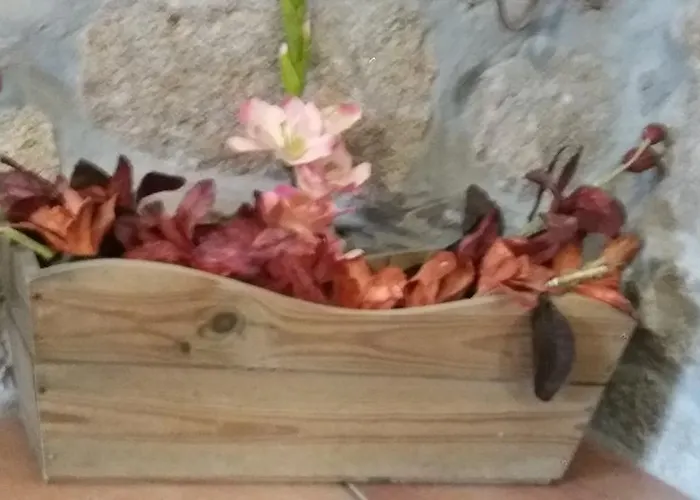 Casa Serra Do Lagar Farm stay