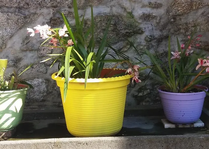 Farm stay Casa Serra Do Lagar