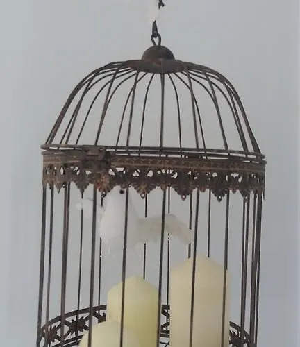 Farm stay Casa Serra Do Lagar Ribeiradio